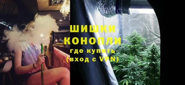 экстази Богданович