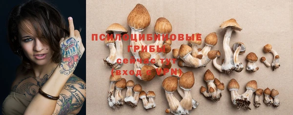 гидра Красноперекопск