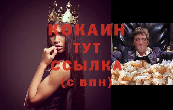 Альфа ПВП Богородск