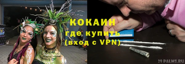 ПСИЛОЦИБИНОВЫЕ ГРИБЫ Белоозёрский
