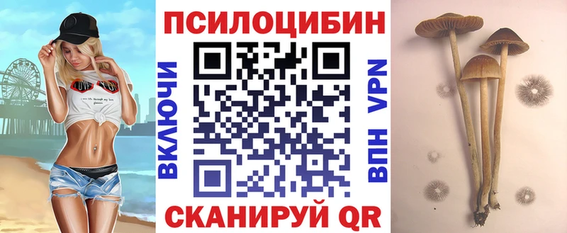 Галлюциногенные грибы мицелий  Гусев 