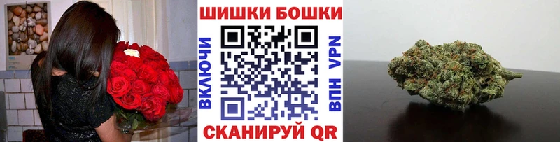 где можно купить наркотик  Гусев  Бошки Шишки MAZAR 